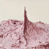 Fresh Rosehip Rice Mochi Cleanser