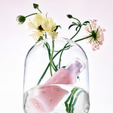 Skin Glow Essence; Vita Radiance